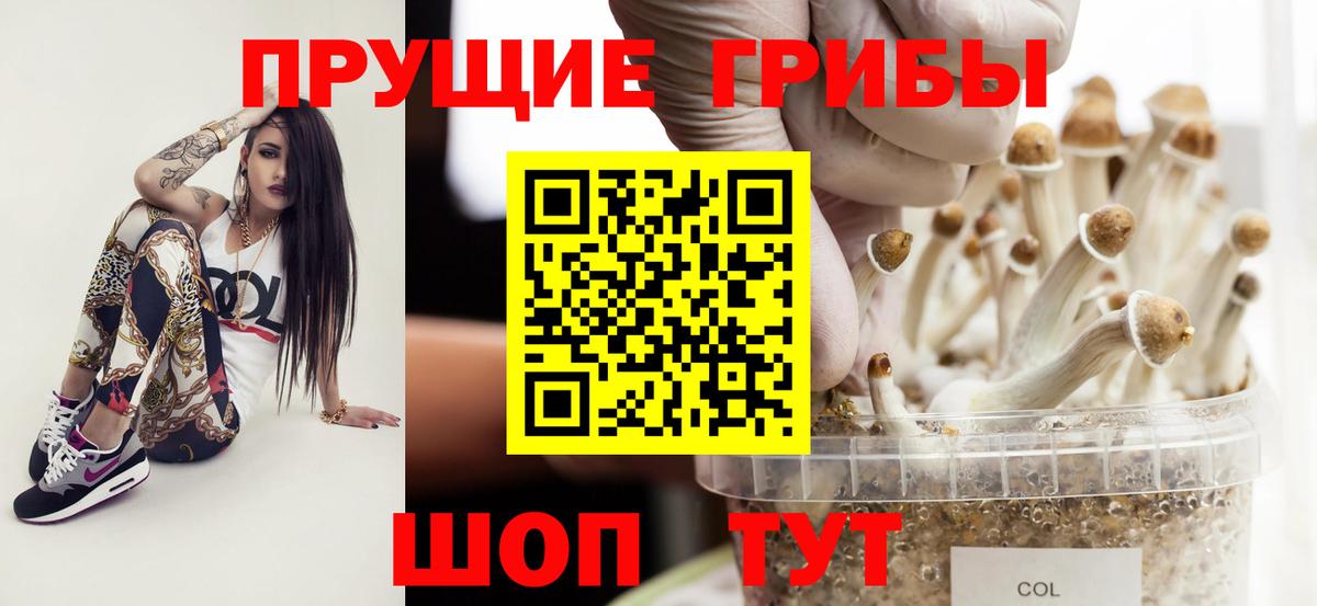 Псилоцибиновые грибы мухоморы  Вход с VPN  Галлюциногенные грибы ЛСД  Находка 